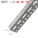 【個人宅も送料無料】 グレーアングル60型 2×40×60×300mm 2本セット グレー 【カラーアングル楽天最安値に挑戦!】 【スチール棚 スチールラック ...