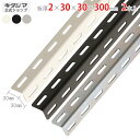 【個人宅も送料無料】 カラーアングル30型 2×30×30×300mm 2本セット ホワイト・ブラック・ユニクロ 【カラーアングル楽天最安値に挑戦!】 【スチー...