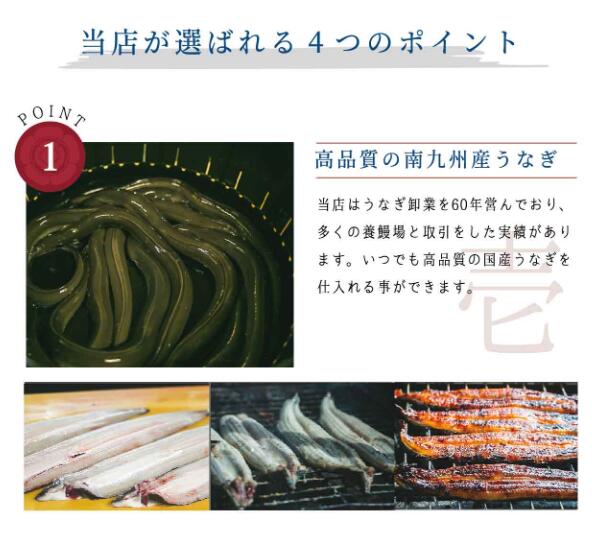 うなぎ蒲焼3尾セット/国産 宮崎産 炭火焼 専...の紹介画像3