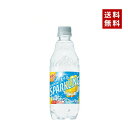 【即納】【送料無料】SUNTORY サントリー 天然水スパークリングレモン 480ml PET 1ケース×24本入【4901777317697】