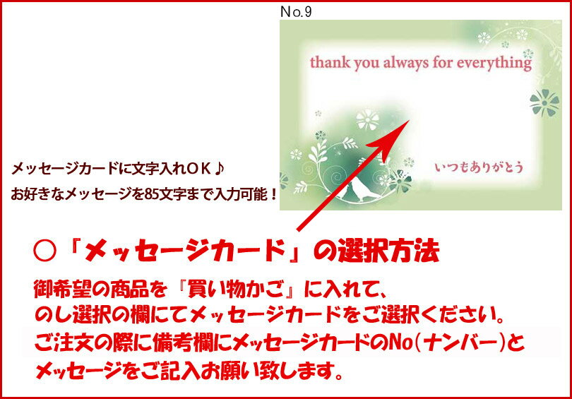 おもしろチョコ Hしたくなるチョコレート (12粒入) チョコレート 菓子 プレゼント イベント