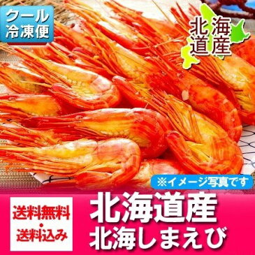 送料無料 北海道産 北海しまえび/北海シマエビ 北海道 道東産 しまエビ/縞海老 約 500 g ボイル海老 北海しまえび 価格 6990 円