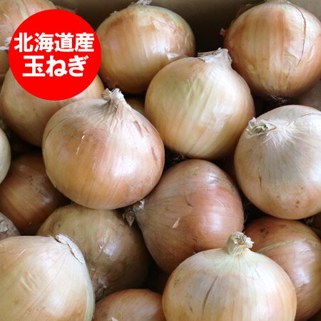 北海道 玉ねぎ 送料無料 北海道産 たまねぎ 10kg　L大サイズ 共撰 野菜 たまねぎ / 玉ねぎ / 玉葱 / タマネギ