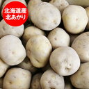 じゃがいも 北海道 北あかり 北海道産 じゃがいも キタアカリ 10kg MLサイズ きたあかり 北海道 ジャガイモ
