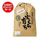 北海道 米 きらら397 5kg 送料無料 北海道産 米 ぴっぷ産米 きらら397米 5kg 白米 米 精米