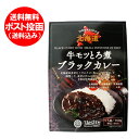 牛もつカレー 送料無料 レトルト カレー 牛もつ とろ煮 ブラックカレー レトルト 中口 1個 レトルト 牛モツ カレー