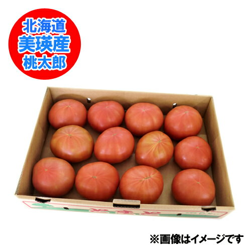 北海道 トマト 送料無料 北海道 美瑛 びえい産 トマト 2Lサイズ 4kg (4キロ) とまと 生食 トマト 大玉