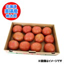 北海道 美瑛 トマト 送料無料 びえい トマト 箱 4kg ( 4キロ ) Lサイズ 約20玉前後  ...