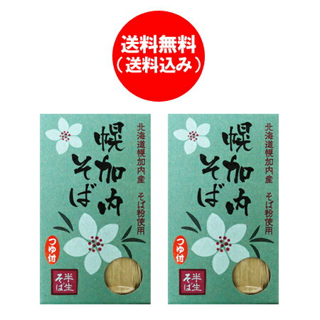 送料無料 そば 幌加内 北海道 幌加内そば 半生そば つゆ付き 2個 価格 2032円 ほろかないそば ギフト 化粧箱入