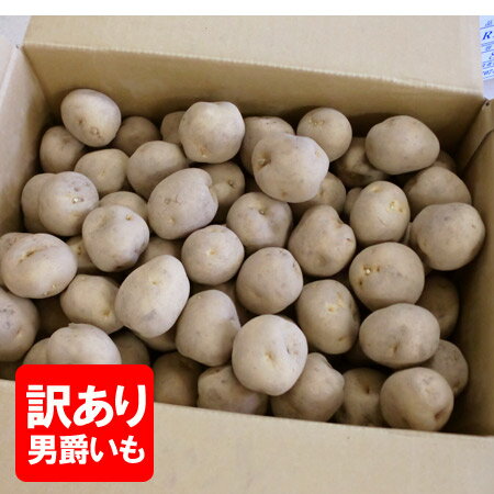 楽天市場】男爵芋 送料無料 5kgの通販 楽天市場】男爵芋 送料無料 5kgの通販