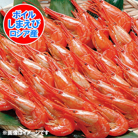 送料無料 海老 しまえび Sサイズ 1kg (500g×2) ロシア産 しまエビ / 縞海老 ボイルエビ