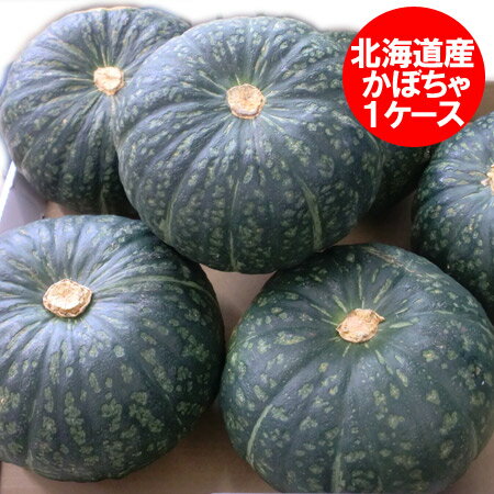 野菜 かぼちゃ 送料無料 北海道産 カボチャ 1箱(5玉から7玉入) 価格 3980 円 南瓜はえびす・九十九里・くりゆたか・くりしょうぐん・雪化粧・みやこ 他のいずれか