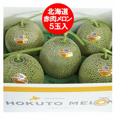 メロン 送料無料 北海道メロン 赤肉メロン 北海道 メロン 8kg 5玉入 1箱(1ケース) JAきたそらち 元気村 メロン 秀品 北斗メロン フルーツ 果物 メロン くだもの