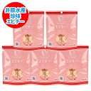 エビチー 珍味 エビチ チーズ えびとチーズを使用 エビチー 5袋 箱入り チーズ エビ おつまみ ちんみ ギフト プレゼント 魚介類 水産加工品 海老 乳製品...