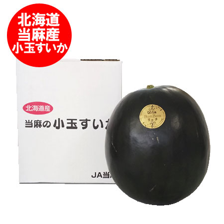「 でんすけすいか 」の産地 当麻町 小玉すいか 送料無料 小玉スイカ 北海道 当麻産 すいか 小玉 ...