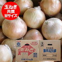 北海道 たまねぎ 玉葱 北海道産 玉ねぎ 20kg Mサイズ 玉ねぎ 箱 共撰 野菜 たまねぎ 北海道 富良野産もしくは北見F1