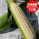 随時発送中 訳あり とうもろこし わけあり 北海道 とうもろこし 送料無料 とうきび 北海道産 白いとうもろこし ホイップコーン 2Lサイズ 10本 野菜 とうもろこし ホワイトコーン