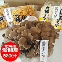 きのこセット 北海道 愛別 きのこ セット まいたけ えのき茸 なめこ 送料無料 北海道 あいべつ特産 きのこ セット 舞茸 / エノキ茸 / ナメコ / キノ...
