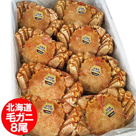 北海道産 毛ガニ 送料無料 北海道 �