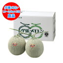 夕張メロン 送料無料 夕張メロン 2玉 (1.9kg~2.0kg×2) 良品 夕張農協共撰 メロン ゆうばりめろん 果物 フルーツ くだもの メロン