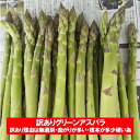 訳あり グリーンアスパラ 送料無料 アスパラ 北海道 アスパラガス 北海道産 グリーンアスパラガス 800 g L〜2Lサイズ ( サイズ 不揃い 混合 ) 野...