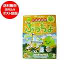 北海道限定 ぷっちょ 送料無料 夕張メロン 北海道限定 夕張メロン 果汁 ソフトキャンディ uha 味覚糖 ぷっちょ スティック 夕張メロン 味 5本入 価格 1000 円 ポッキリ 送料無料 お菓子 キャンディ