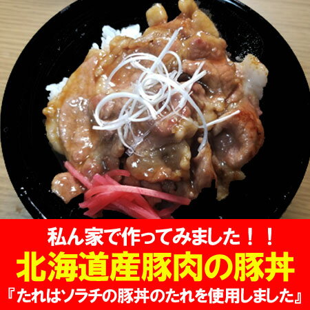 十勝 豚丼 たれ 付 送料無料 ぶたどん 北海道産 豚肉 500g×2パック・ソラチ 豚丼のたれ セット ブタ丼 2