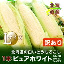 ☆期日指定不可☆【北海道産】【ピュアホワイト】 訳あり品 ト...