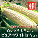【北海道産】【ピュアホワイト・ホワイトショコラ】 全国離島も...