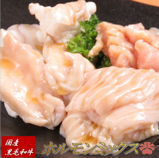 【国産黒毛和牛約600gホルモンミックス(3~4人前)】和牛高級肉お肉お取り寄せ焼肉BBQバーベキューお取り寄せグルメ牛肉美味しいものおいしいものお中元ギフト食品