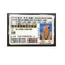 真田幸村(信繁) 戦国免許証 メール便対応 配送料無料【ポスト投函】【配達日時指定不可・代金引換不可】