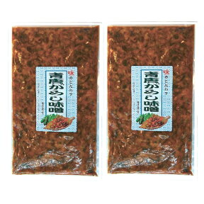 2袋セット 青とうがらし味噌 250g 全国配送料無料 メール便対応 【ポスト投函】【配達日時指定不可・代金引換不可】