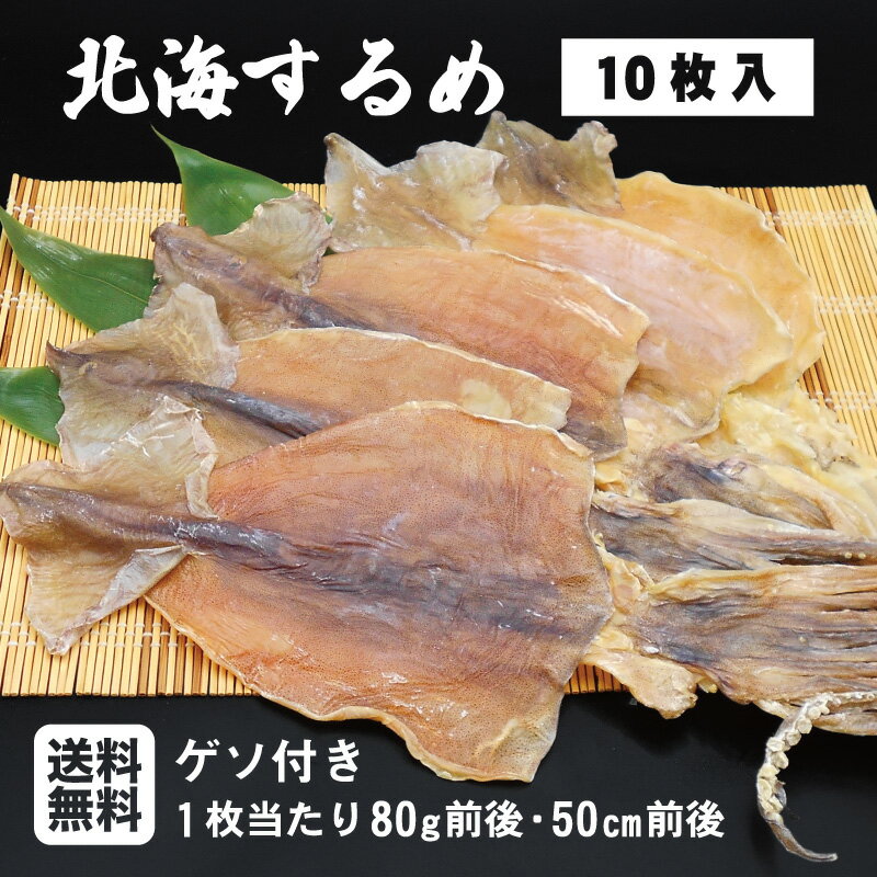 10枚入 北海道前浜産 北海するめ 1枚当たり80g前後 50cm前後父の日ギフト おつまみ 北海道産 国産 肉厚 スルメイカ するめいか 珍味 おつまみ 干物 お取り寄せグルメ 【送料無料】