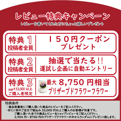 ●クーポン配布中●[仏壇・仏具] 金彩和紙　包装　オプション　御供 お彼岸 お盆 進物　贈答　贈答用