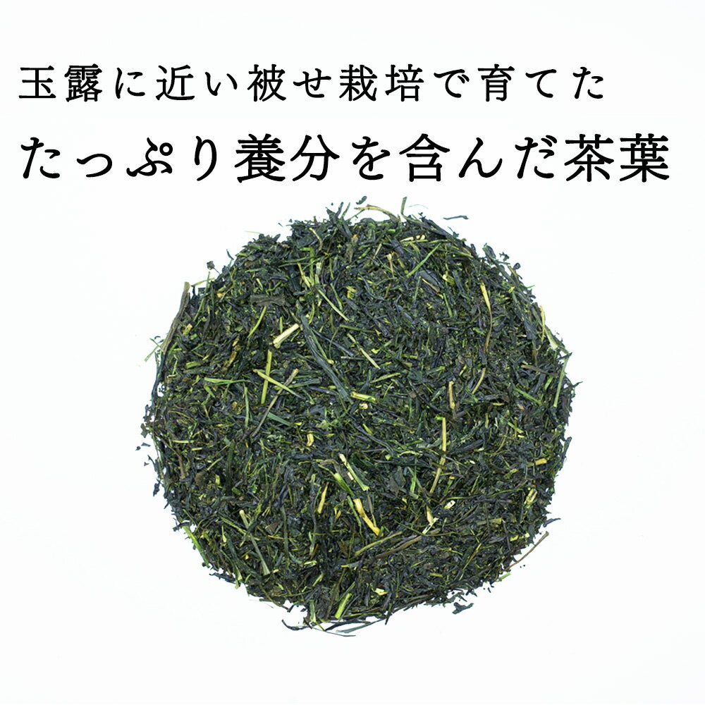【茶葉】熱湯茶 200g かぶせ茶 緑茶 煎茶 宇治茶 お茶 日本茶 茶葉 リーフ
