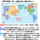 春堀りでフレッシュ 只今のご注文は、5月上旬より順次発送 菊芋の収穫時期 3キロ 雪国の寒暖差で美味 フレッシュ 生菊芋 ミネラル豊富 生でシャリシャリ 煮てホクホク きくいも キクイモ 赤菊芋 ダイエット イヌリン 菊芋スープ 菊芋茶 国産 菊芋 無農薬 菊芋 種芋 2