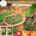 【セット割50円引き】 北海道 北の大地の行者 ニンニク アイヌの知恵のスーパーフード 乾燥野菜 行者にんにく 山のエメラルド15g×2 臭くない 手土産 札幌ラーメン おつまみ ご飯のお供 ローストビーフ 春野菜 お歳暮 お正月 アイヌネギ 行者ニンニク ギフト お土産