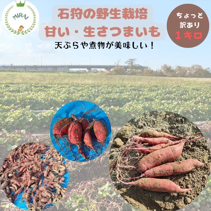 楽天市場】さつまいも 訳あり 無農薬の通販 楽天市場】さつまいも 訳あり 無農薬の通販