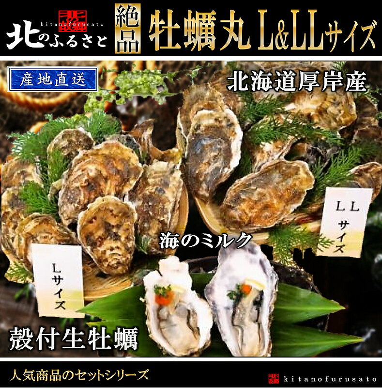 殻付き 生牡蠣 マルえもん L ＆ LLサイズ 少量セット カキナイフ 軍手付 北海道 厚岸産 牡蠣 かき カキ 生食用 カイ かい 生 人気 贈答 贈り物 冬ギフト セット 父の日 お中元