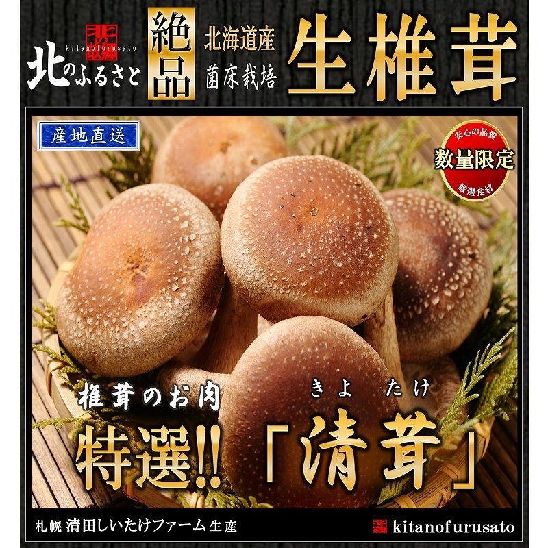 生椎茸 清茸 Lサイズ 8玉×2パック 産地直送 有明の名水 椎茸 シイタケ しいたけ ギフト 贈答品 名水 肉厚 札幌 清田産 高級 生シイタケ 生しいたけ 父の日 贈り物 プレゼント お中元