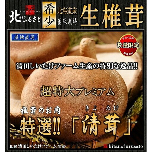 生椎茸 超特大 プレミアム 清茸 3Lサイズ 2玉 (1パック) 産地直送 名水 高級 生しいたけ 箱 椎茸 シイタケ しいたけ 肉厚 ビック お肉 生シイタケ 3l きのこ キノコ 直送 贈り物 プレゼント 特大 父の日 お中元 生椎茸 超特大 プレミアム 清茸 3Lサイズ 2玉 (1パック) 産地直送 名水 高級 生しいたけ 箱 椎茸 シイタケ しいたけ 肉厚 ビック お肉 生シイタケ 3l きのこ キノコ 直送 贈り物 プレゼント 特大 父の日 お中元