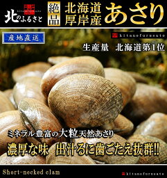 北海道 厚岸産 あさり 大サイズ 3kg 135粒前後 産地直送 アサリ 浅利 貝 かい カイ 国産 だし 味噌汁 酒蒸し クラムチャウダー 冷凍保存 父の日 お中元