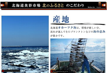 刺身用ほたて玉冷Mサイズ1kg北海道産 (急速冷凍)【産地直送】　ホタテ　帆立　北海道　根室