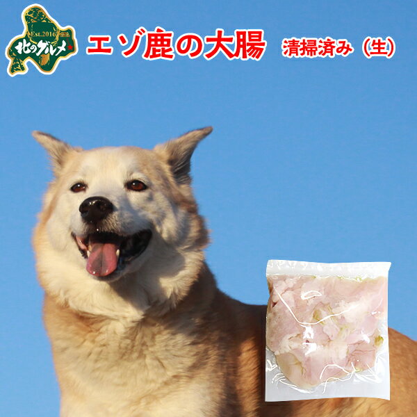 【新商品：冷凍】 北海道産エゾ鹿の大腸（清掃済み） 100g 高たんぱく質＆低脂肪・低カロリー 【/えぞ..