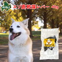 犬 おやつ 国産 北海道産 エゾ鹿 の 乾燥レバー 40g 高たんぱく質＆低脂肪 低カロリー えぞ鹿肉 エゾシカ肉 シカ肉 ジビエ ドックフード 犬用おやつ 犬のおやつ 犬のオヤツ いぬのおやつ 高齢犬 国産