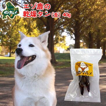 犬 おやつ 無添加 国産 北海道産 エゾ鹿 の 乾燥タン 40g 高たんぱく質＆低脂肪 低カロリー 無添加 えぞ鹿肉 エゾシカ肉 シカ肉 ジビエ ドックフード 犬用おやつ 犬のおやつ 犬のオヤツ いぬのおやつ 高齢犬 国産【ペット用品】