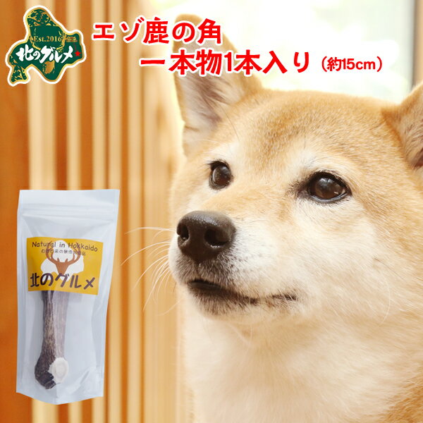 鹿 角 犬 北海道産 エゾ鹿 の 角ガム デンタルケア 1本物15cm×1本入 高たんぱく質＆低脂肪・低カロリー えぞ鹿肉 エゾシカ肉 シカ肉 ジビエ ドックフード 犬用おやつ 犬のおやつ 犬のオヤツ いぬのおやつ 高齢犬 国産 【ペット用品】【メール便】【ss】