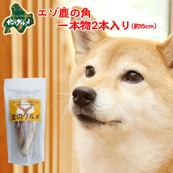 鹿 角 犬 北海道産 エゾ鹿 の 角ガム デンタルケア 1本物15cm×2本入 高たんぱく質＆低脂肪・低カロリー えぞ鹿肉 エゾシカ肉 シカ肉 ジビエ ドックフード 犬用おやつ 犬のおやつ 犬のオヤツ いぬのおやつ 高齢犬 国産 【ペット用品】【メール便】【ss】