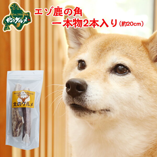 鹿 角 犬 北海道産 エゾ鹿 の 角ガム デンタルケア 1本物20cm×2本入 高たんぱく質＆低脂肪・低カロリー えぞ鹿肉 エゾシカ肉 シカ肉 ジビエ ドックフード 犬用おやつ 犬のおやつ 犬のオヤツ いぬのおやつ 高齢犬 国産 【ペット用品】【メール便】【ss】