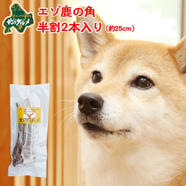 鹿 角 犬 北海道産 エゾ鹿 の 角ガム デンタルケア 半割25cm×2本入 高たんぱく質＆低脂肪・低カロリー えぞ鹿肉 エゾシカ肉 シカ肉 ジビエ ドックフード 犬用おやつ 犬のおやつ 犬のオヤツ いぬのおやつ 高齢犬 国産 【ペット用品】【メール便】【ss】